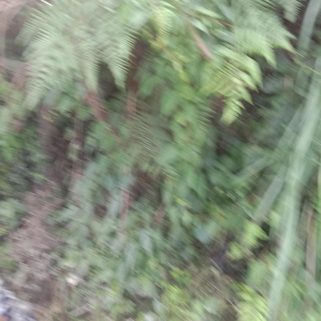 难忘的你