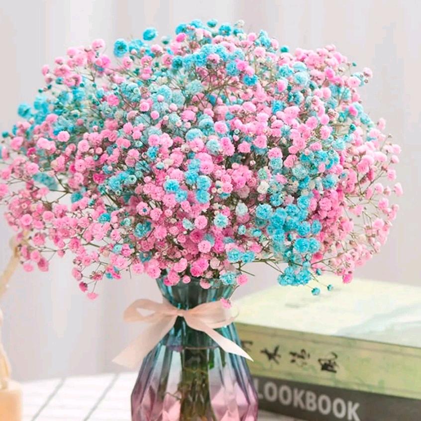 云南鲜花批发 云南鲜花