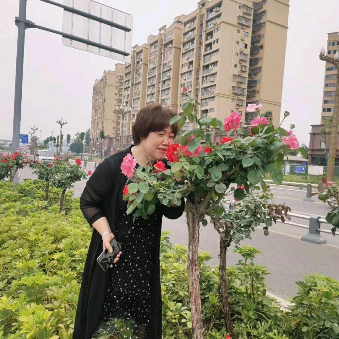 春天里的羊