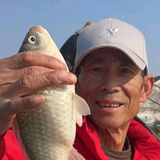 四哥户外野钓