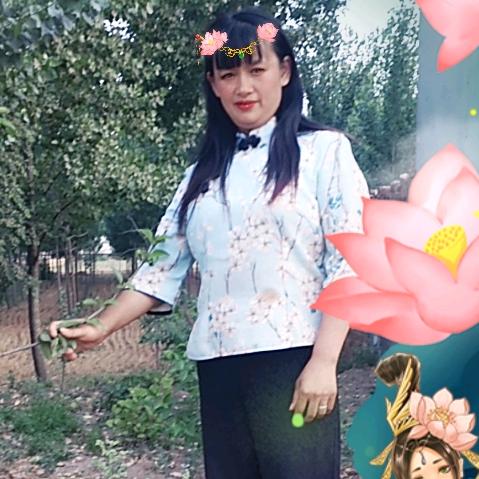 杨冬莲