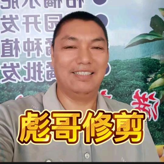 柑橘种植朱恩彪
