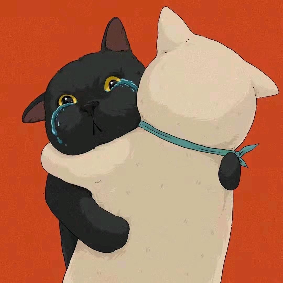 张先生啊