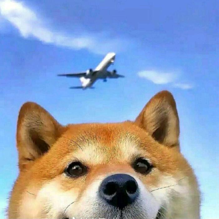 探奇d世界