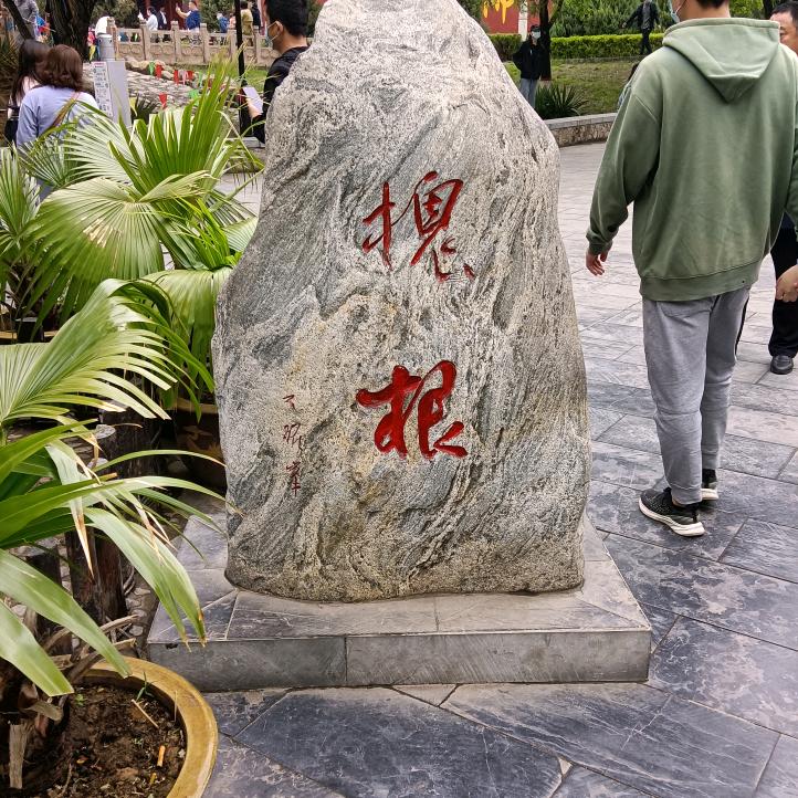 根水叶茂