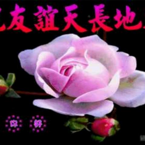 好友