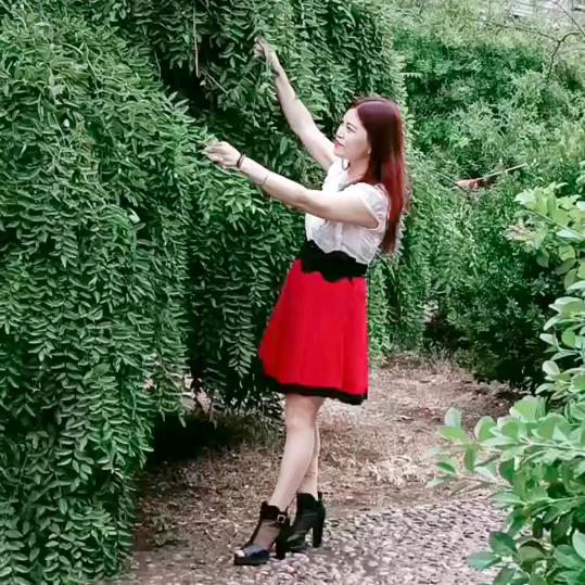 稳稳的幸福