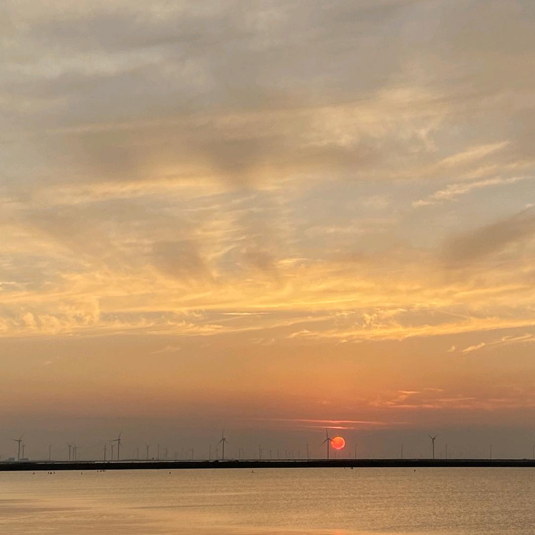 小雅🌻🌻