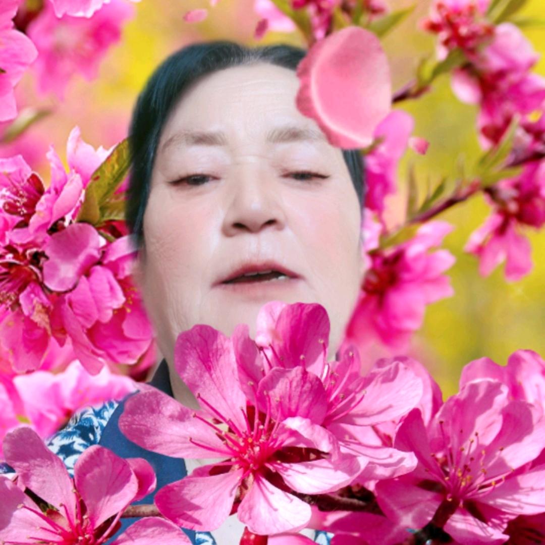 老白和小爱的粉丝。