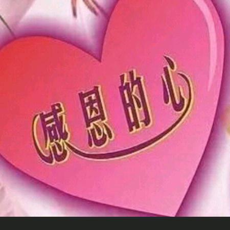 谷中的百合
