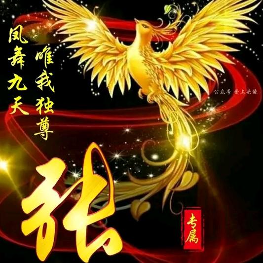 我姓张