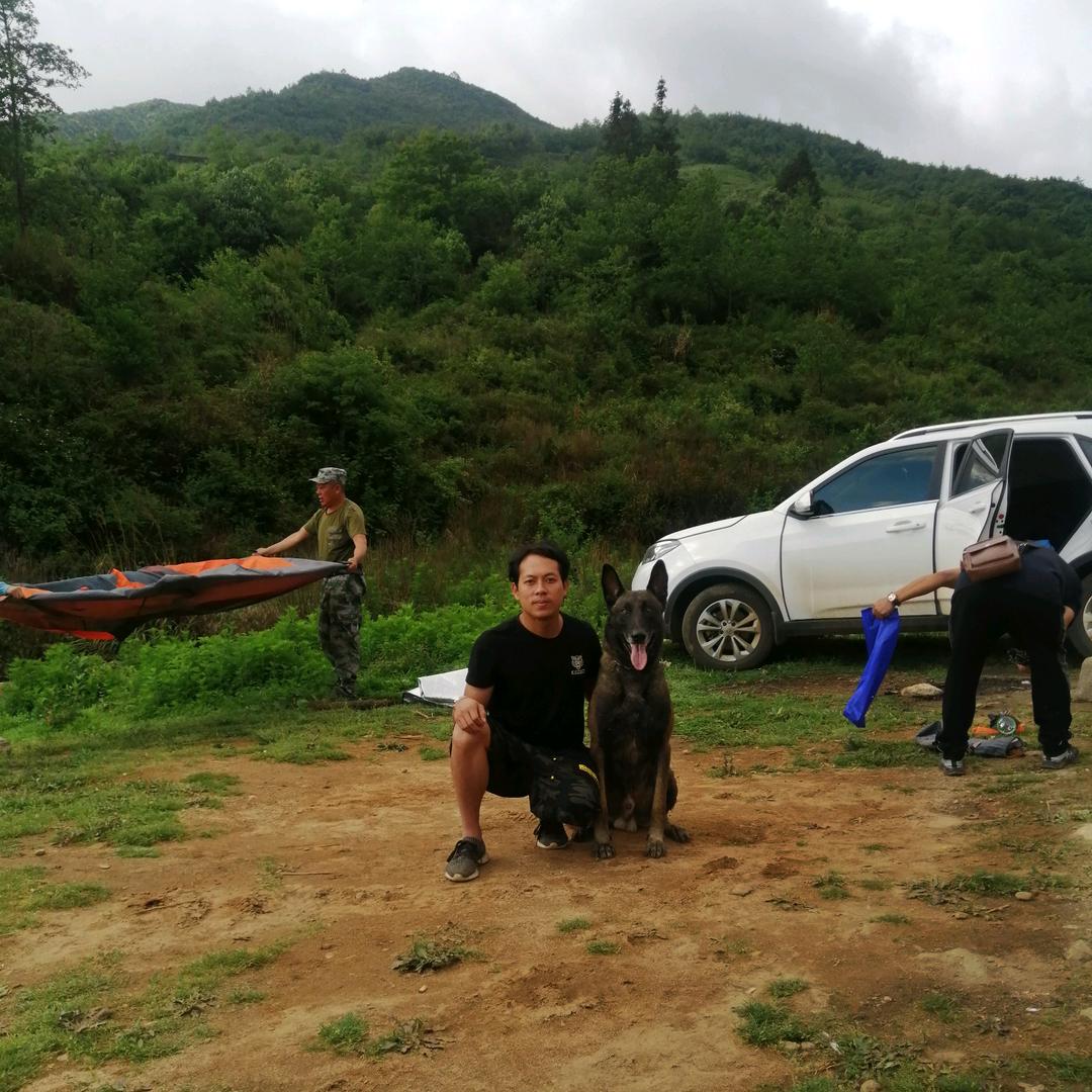 信安工作犬基地~二哥