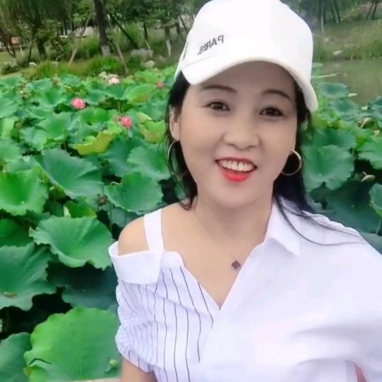 文文姐