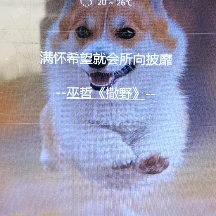 影