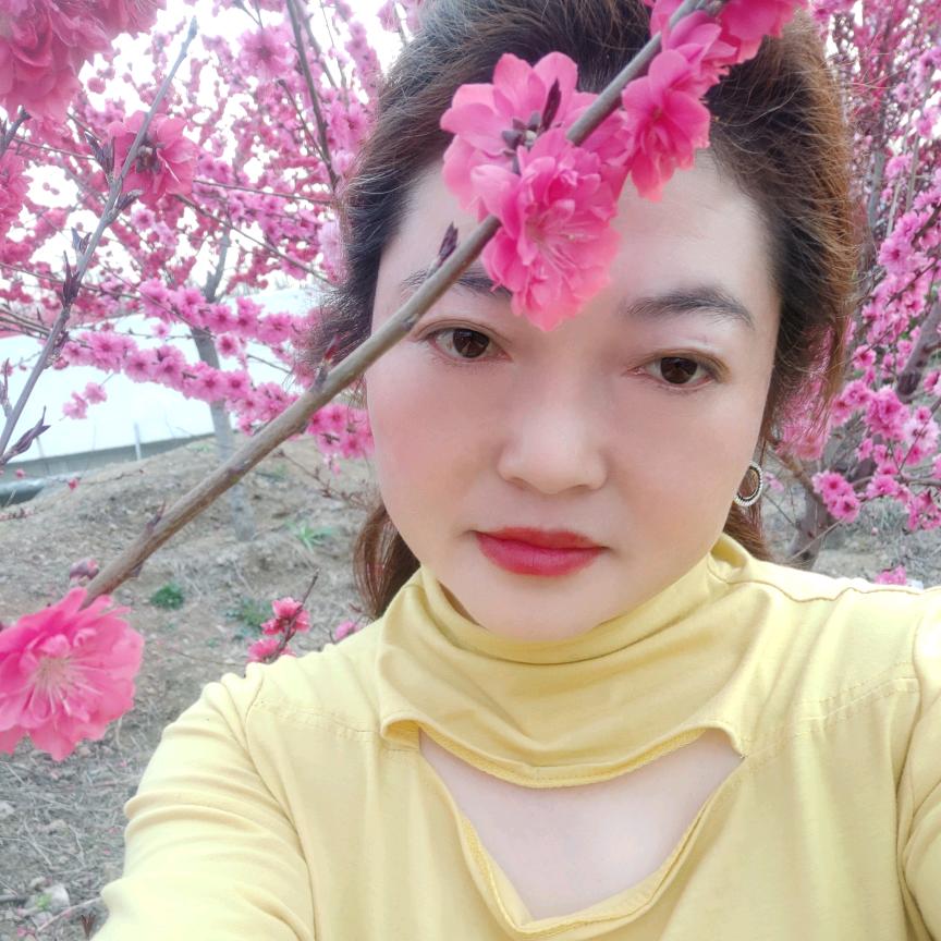 云之灵