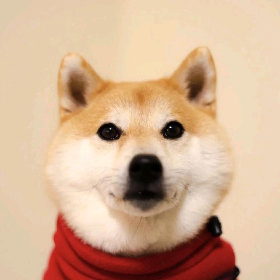 峰学未来王彬老师