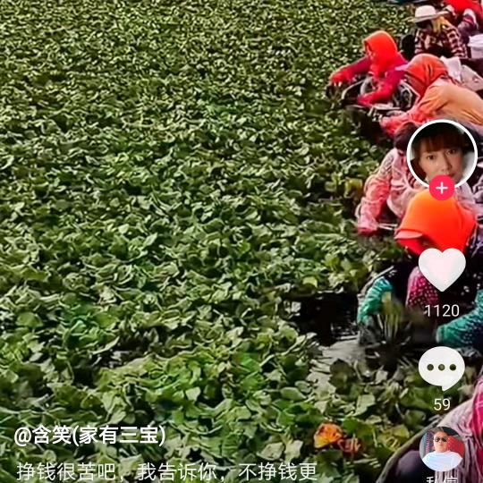 平凡人生