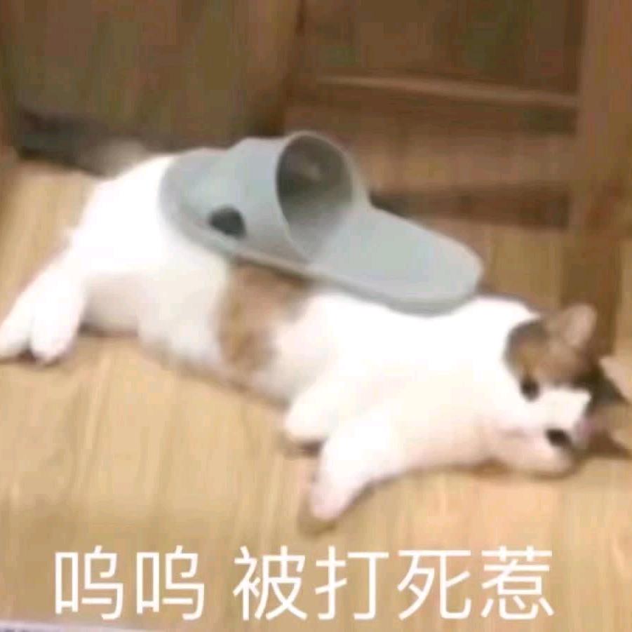 无情机器肉肉子