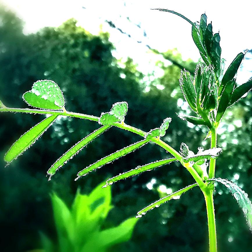 有有