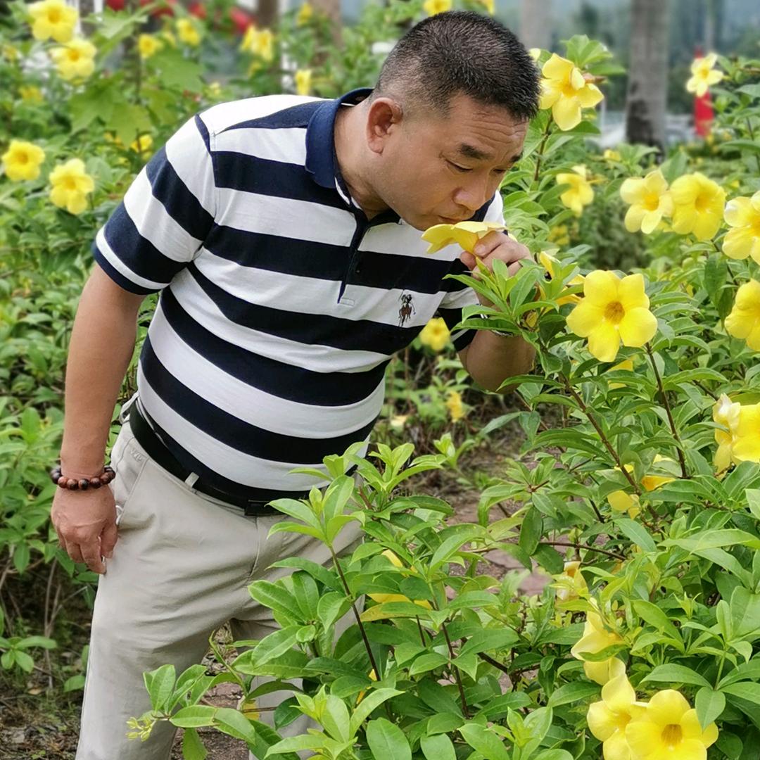 华南虎