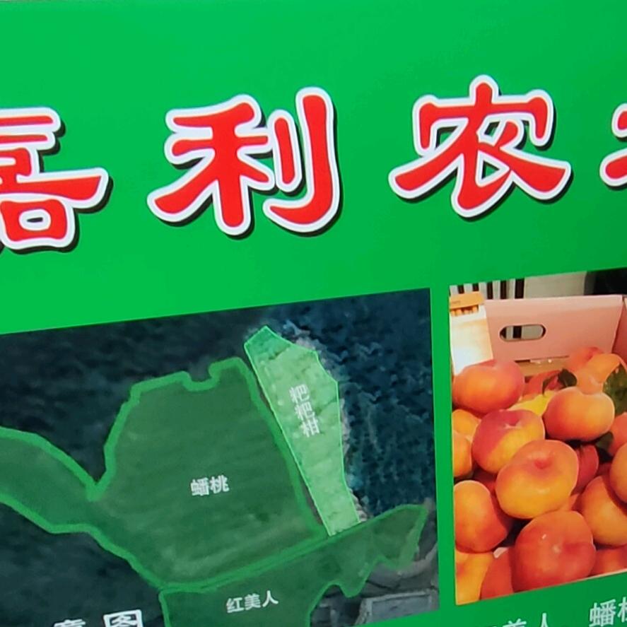 嘉利农场