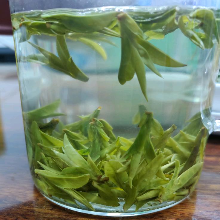 新昌谙铺茶行授权号