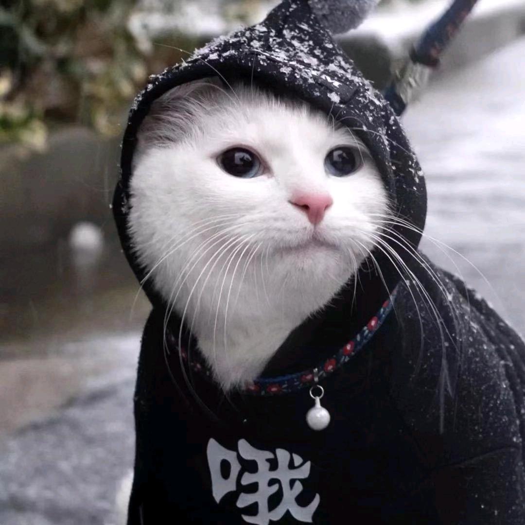 尖山三文鱼🐟