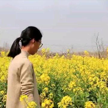 新鲜蔬菜汇