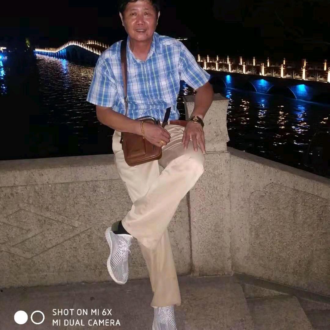 孤独的鸟