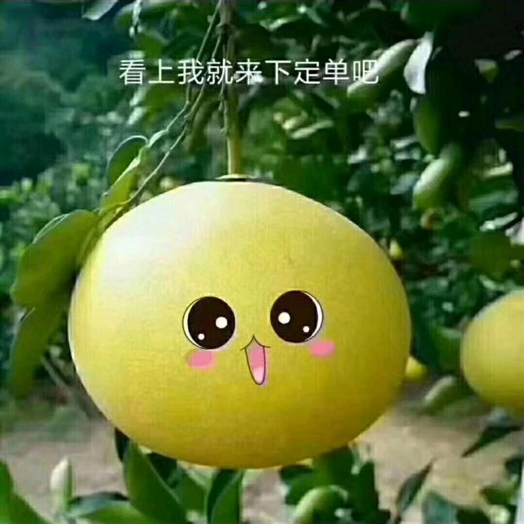 聪