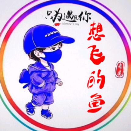 想飞的鱼