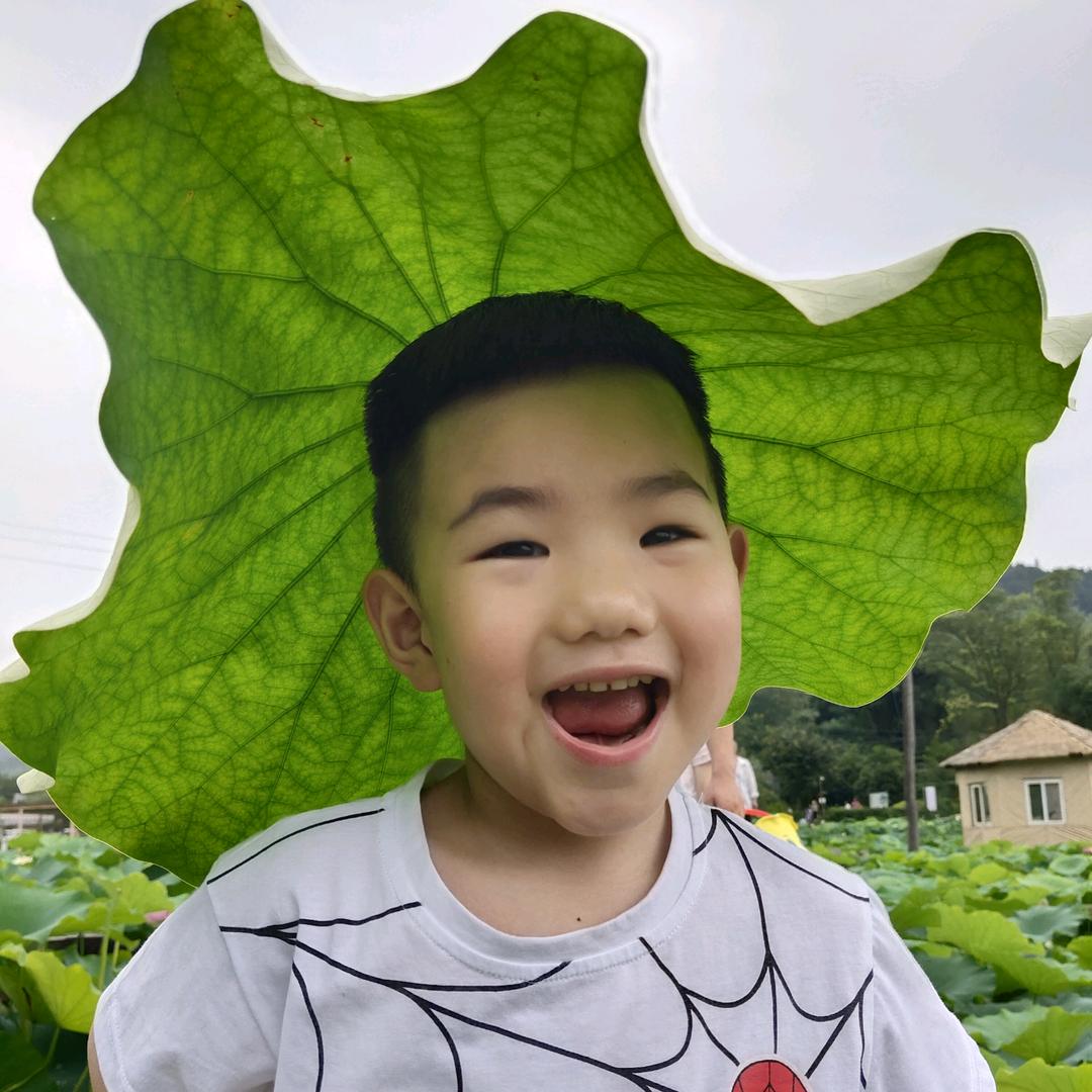豆芽