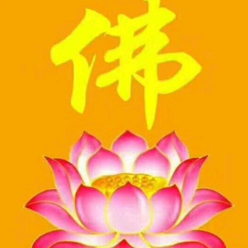 佛缘🙏🙏🙏