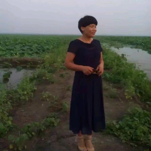 雄安农资代理商春姐