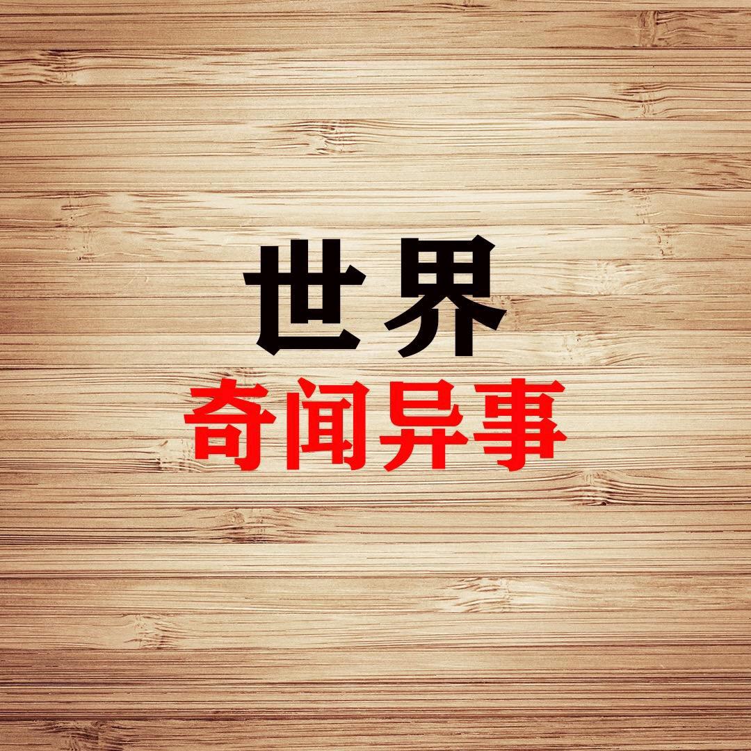 守候带你看世界