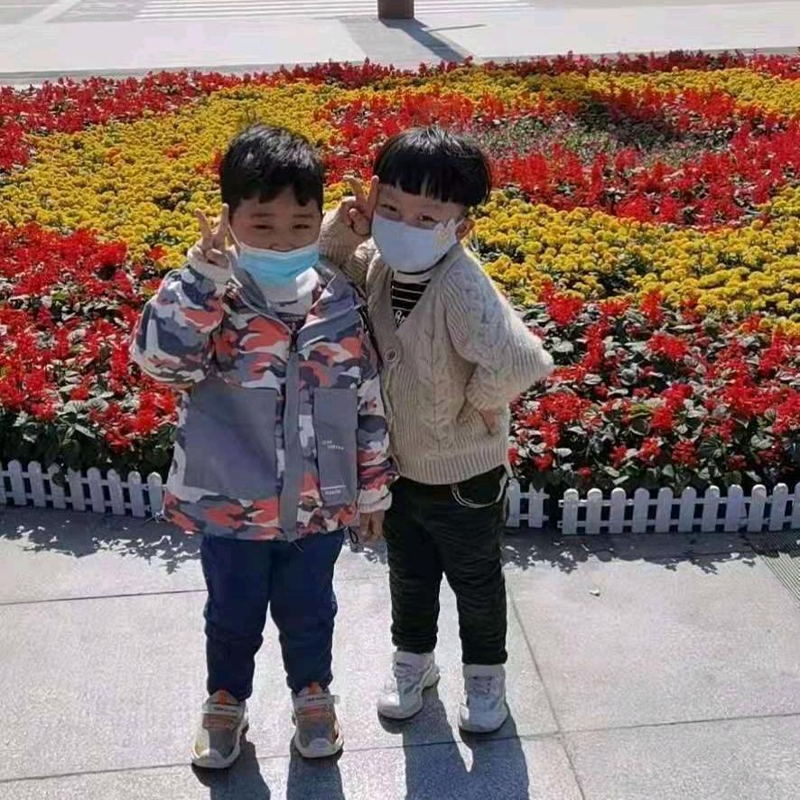 凤🌻🌻