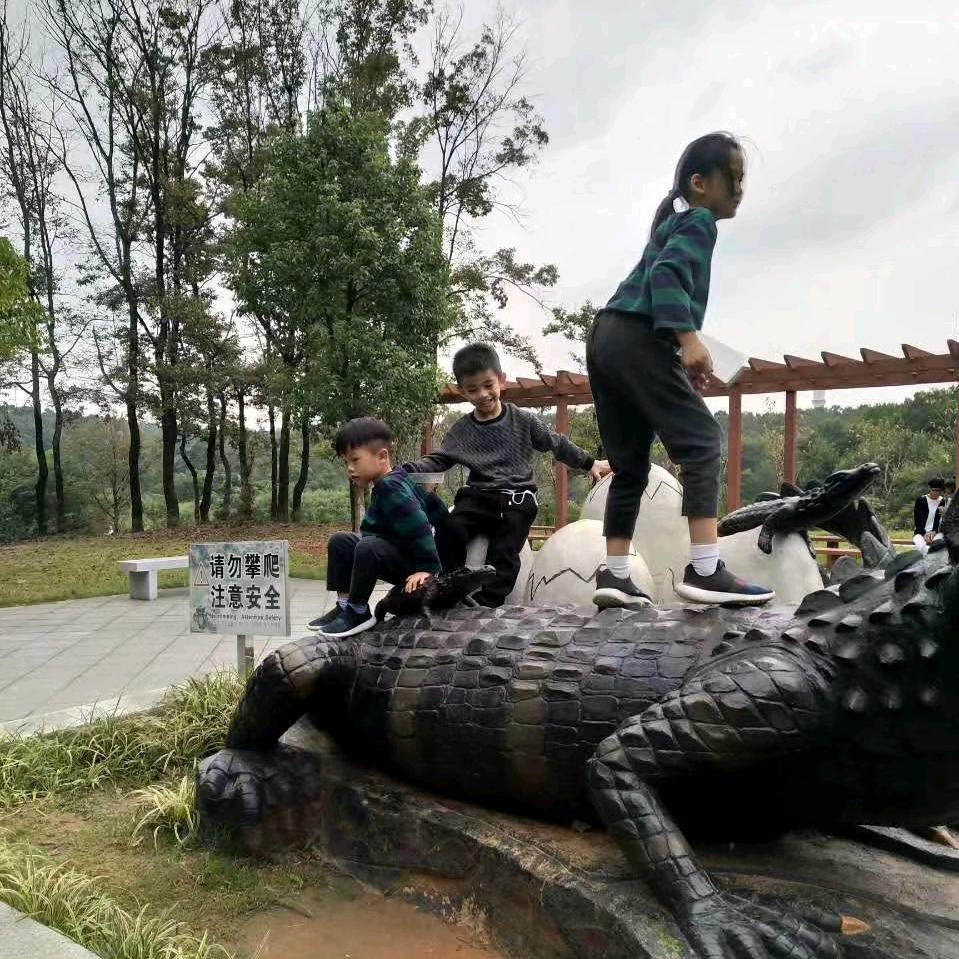 文先生