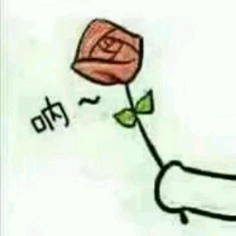 努力、奋斗😎