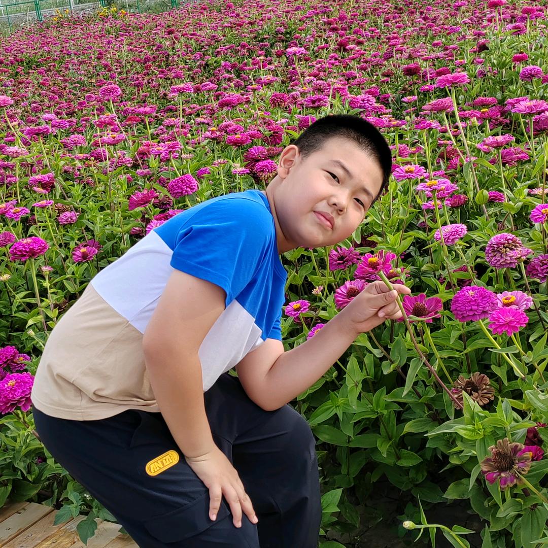果果姥姥