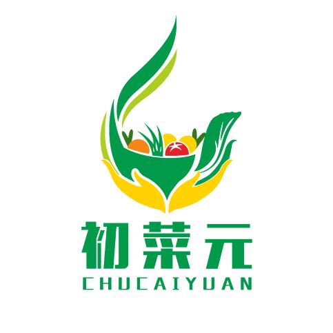 初菜元山东蔬菜制品专卖店