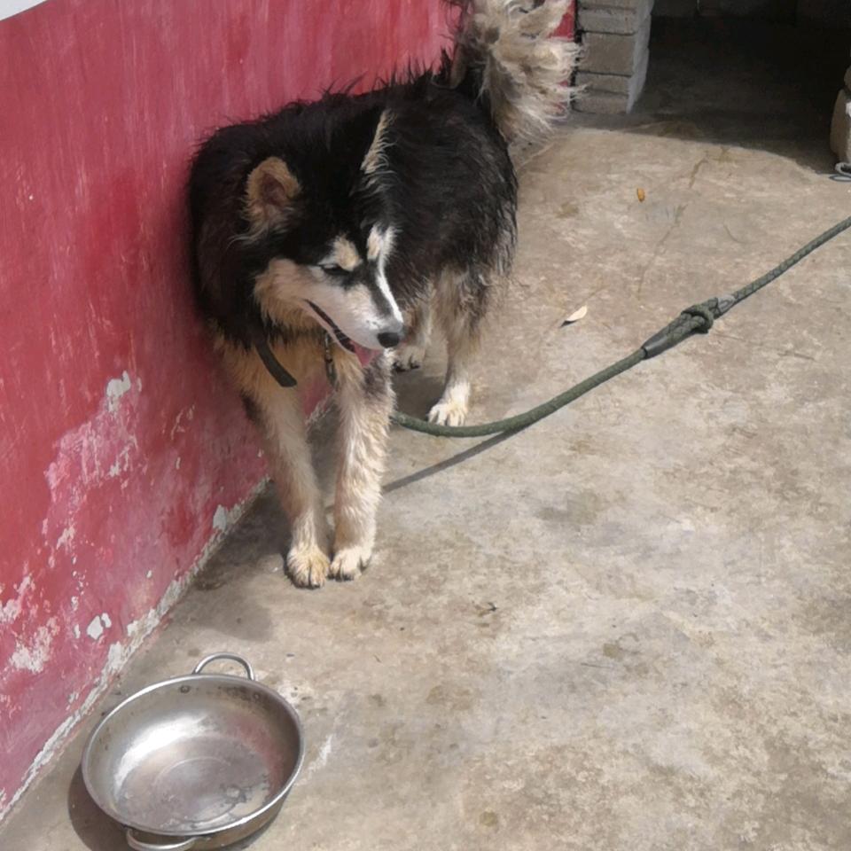 喻兵