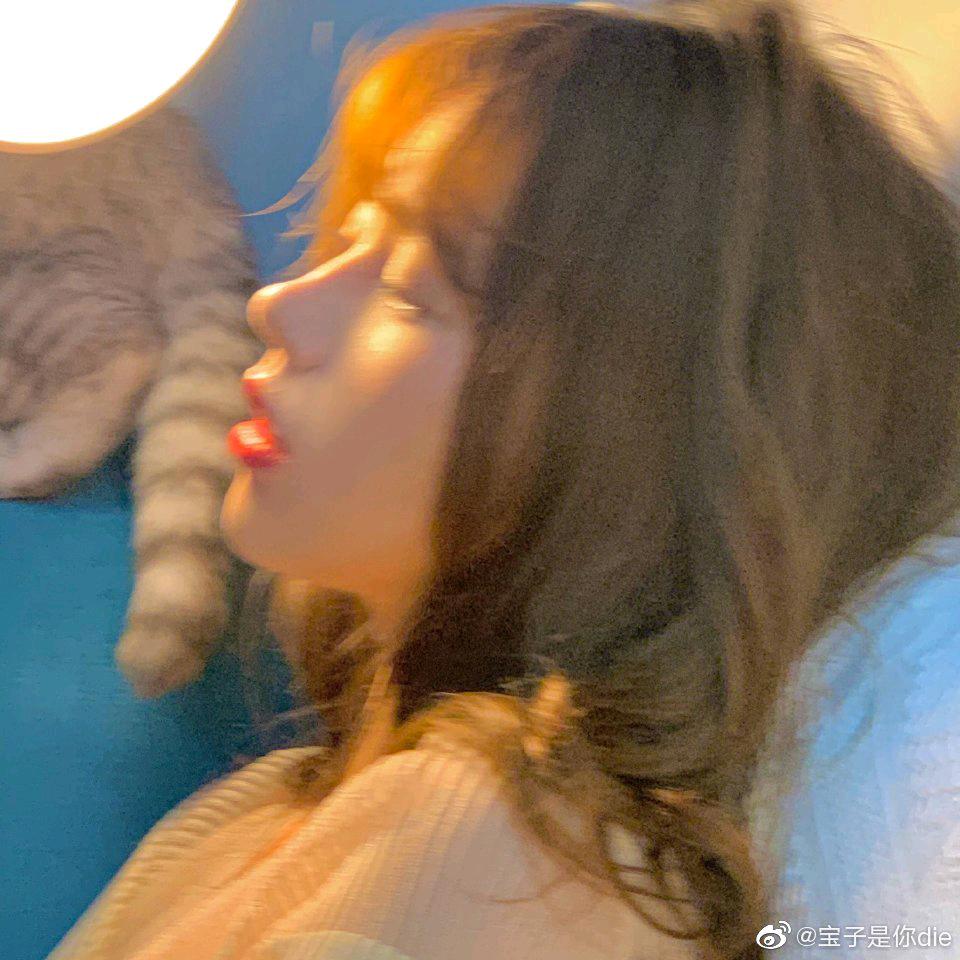 懒白不摆烂