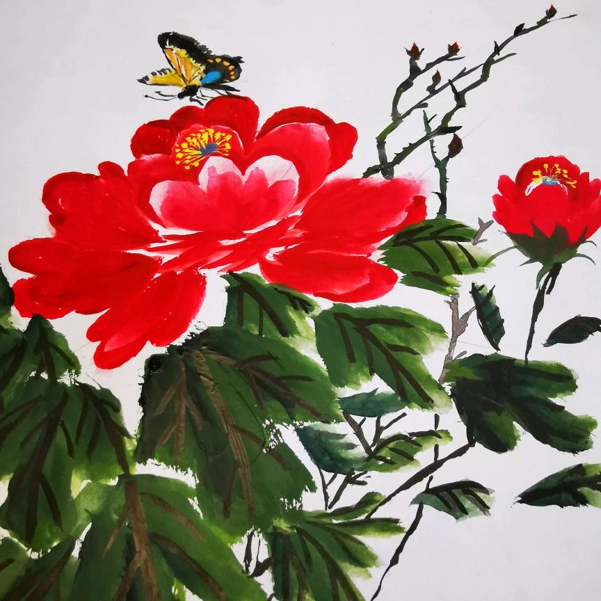 檐上猫