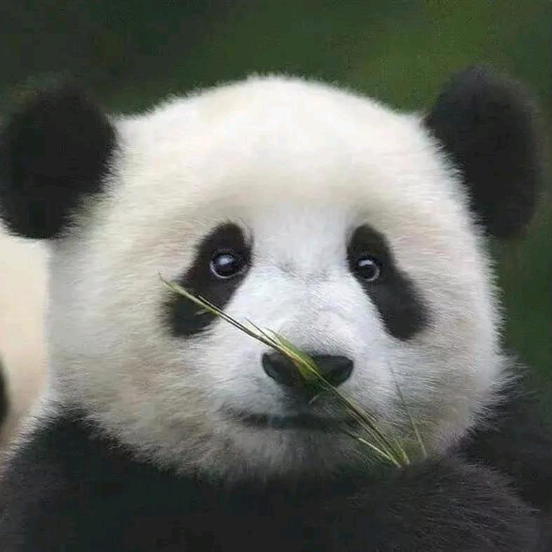 爱笑的眼睛