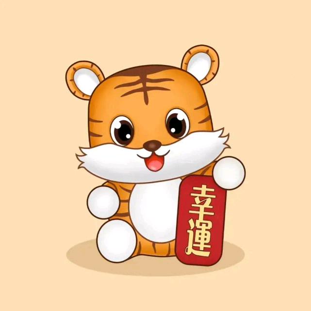 无锡小老虎