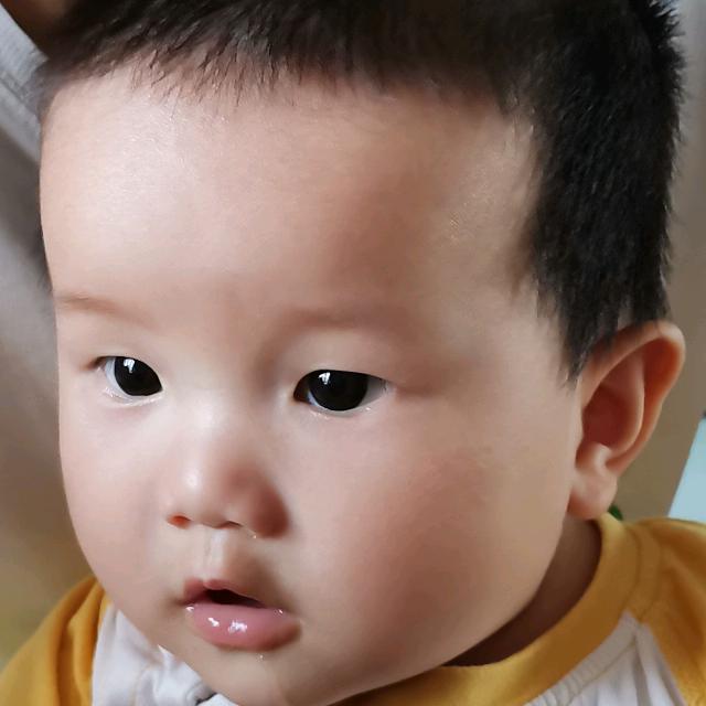 小伦伦