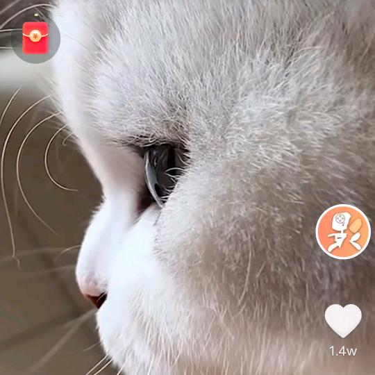 说好的以后呢(✿◡‿◡)