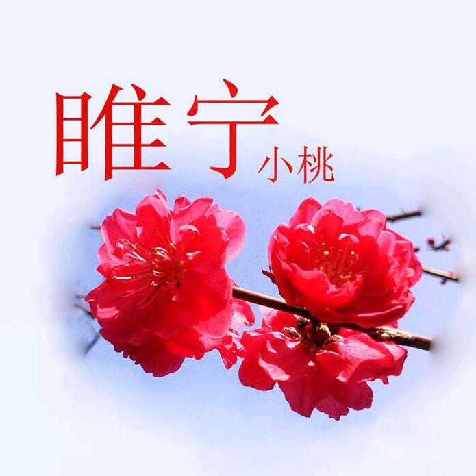 睢宁小桃