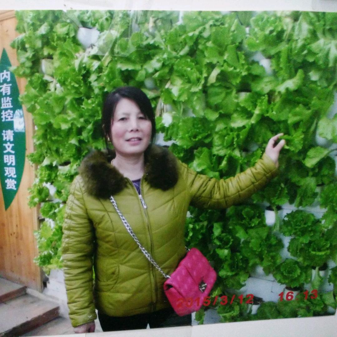 农村姐