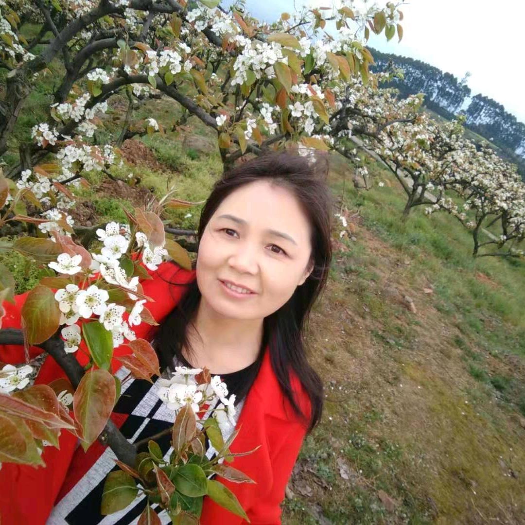 周二姐好物